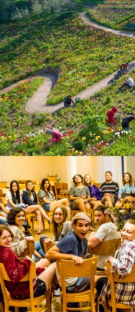 Volunteers planting flowers and having a meeting | Volunteering Germany