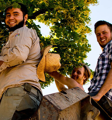 Volunteers harvesting at Michaelshof Sammatz, Germany