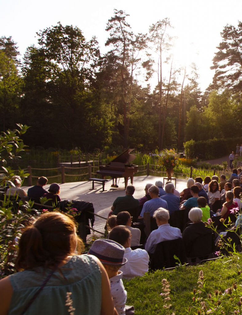 Konzerte am Waldsee Michaelshof Sammatz Saison 2019