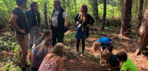 Michaelshof Sammatz | Seminar: Ameisen Rückblick Pic 05