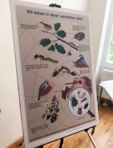 Michaelshof Sammatz | Seminar: Ameisen Rückblick Pic 01