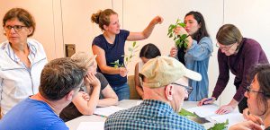 Michaelshof Sammatz | Seminar: Heimische Bäume und Sträucher Rückblick Pic 02