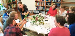 Michaelshof Sammatz | Seminar: Pflanzenfamilien Rückblick Pic 02