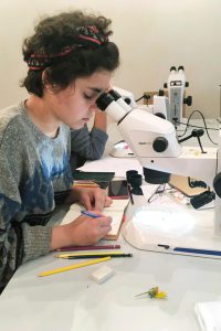 Michaelshof Sammatz | Seminar: Pflanzenfamilien Rückblick Pic 04