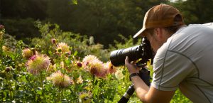 Michaelshof Sammatz | Seminar: Pflanzenfotografie Pic 05