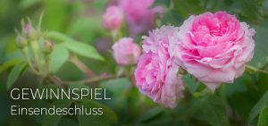 Michaelshof Sammatz | Gewinnspiel Einsendeschluss